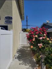 MLS #SR26110999 image #0