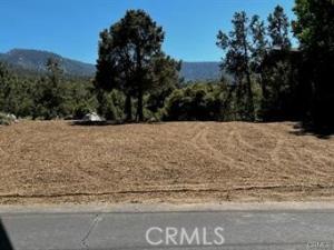 MLS #SR26112439 image #0