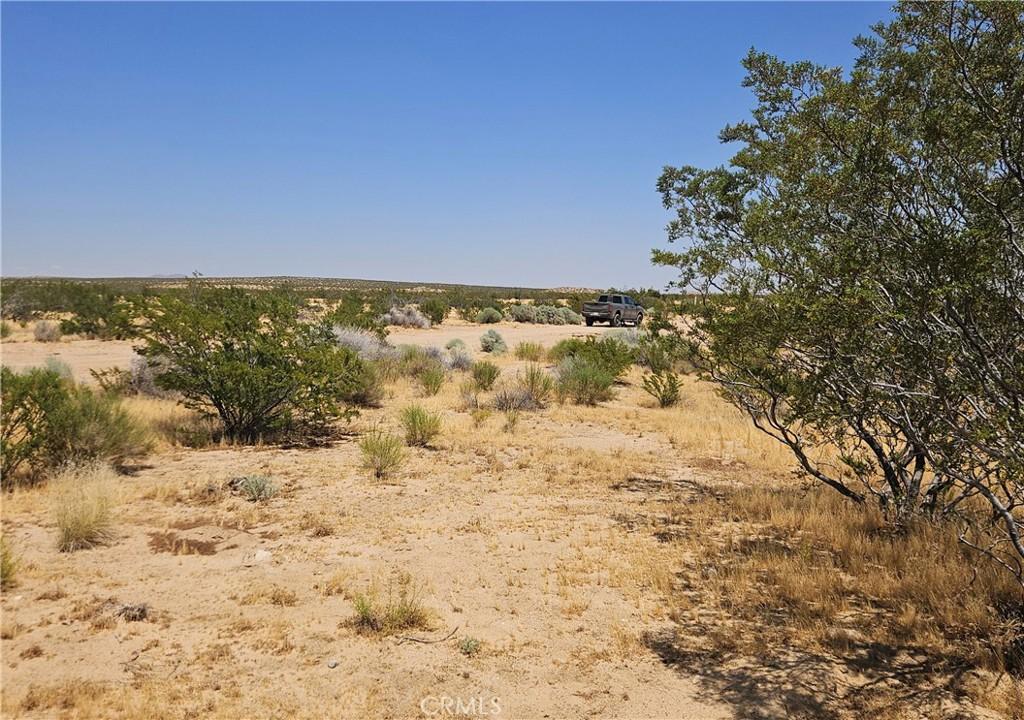 MLS #SR26112917 image #0