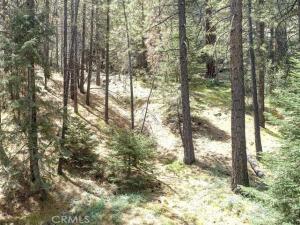 MLS #SR26113683 image #0