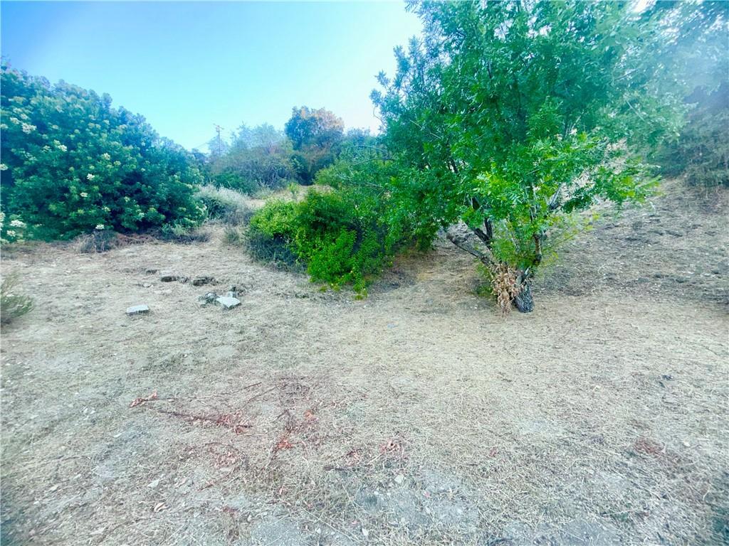MLS #SR26127890 image #0