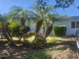 MLS #SR26131680 image #0