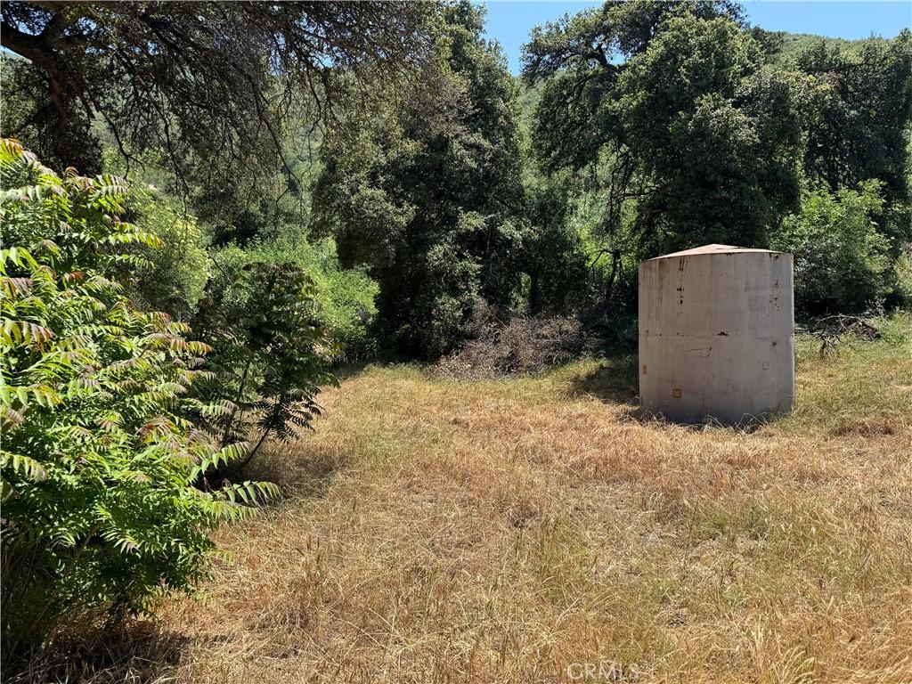 MLS #SR26138259 image #0