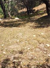 MLS #SR26139052 image #0