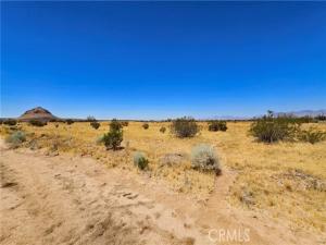 MLS #SR26139984 image #0