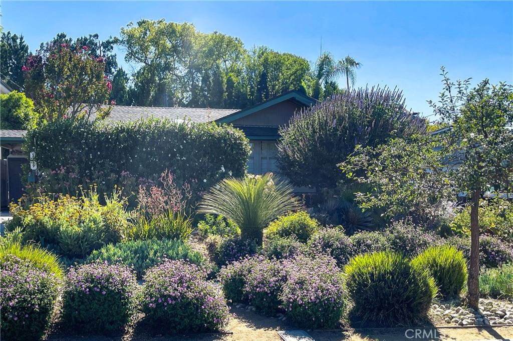 MLS #SR26144835 image #0