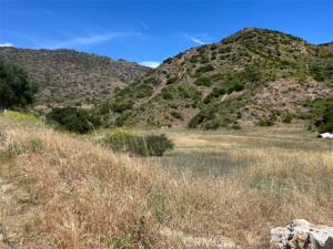 MLS #SR26147835 image #0