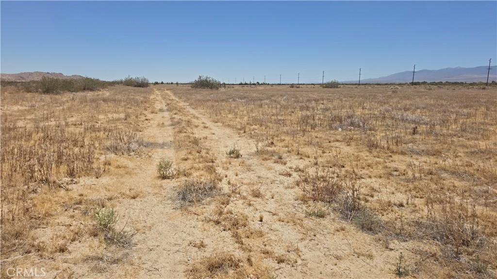 MLS #SR26150460 image #0