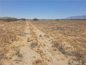 MLS #SR26150460 image #0