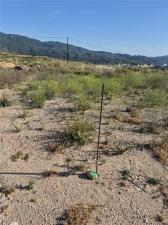 MLS #SR26151794 image #0