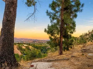 broker reciprocity