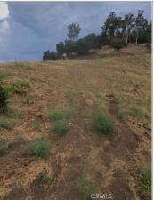 MLS #SR26157306 image #0