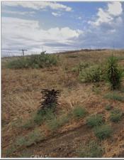 MLS #SR26157307 image #0
