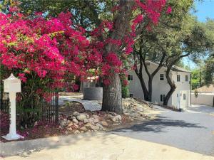 MLS #SR26158301 image #0