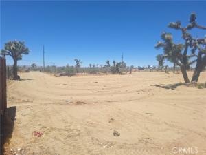 MLS #SR26160043 image #0