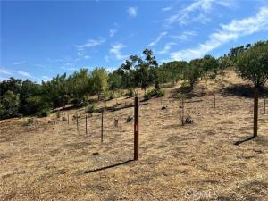 MLS #SR26162507 image #0