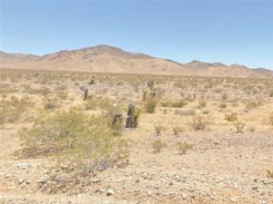 MLS #SR26166771 image #0