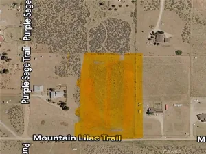 broker reciprocity