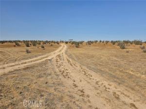 MLS #SR26171609 image #0