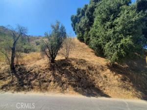 MLS #SR26174718 image #0