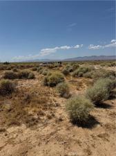 MLS #SR26175088 image #0