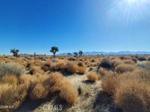 MLS #SR26178409 image #0