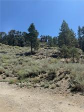 MLS #SR26179715 image #0