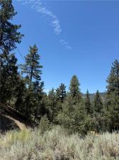 1912 Symonds Pine Mountain Club CA 93222 | MLS #SR26186352 13 MLS #SR26186352 image #0