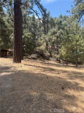 MLS #SR26186515 image #0