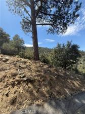 MLS #SR26186529 image #0