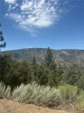 broker reciprocity
