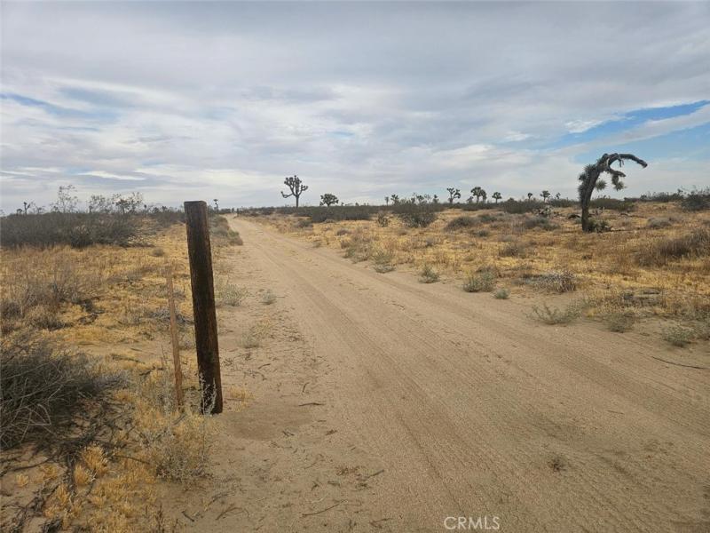 205 E Avenue J4 Lancaster CA 93535 | MLS #SR26192003 45 MLS #SR26192003 image #0