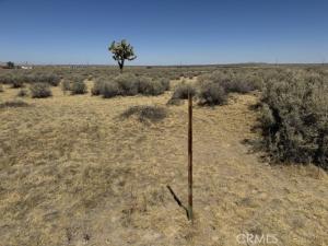 39060 E 230th ST Palmdale CA 93591 | MLS #SR26202558 37 MLS #SR26202558 image #0