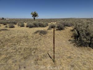 39060 E 230th Street Palmdale CA 93591 | MLS #SR26202558 45 MLS #SR26202558 image #0