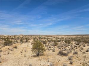 MLS #SR26204670 image #0