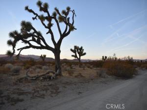 MLS #SR26205492 image #0