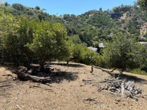 MLS #SR26207115 image #0