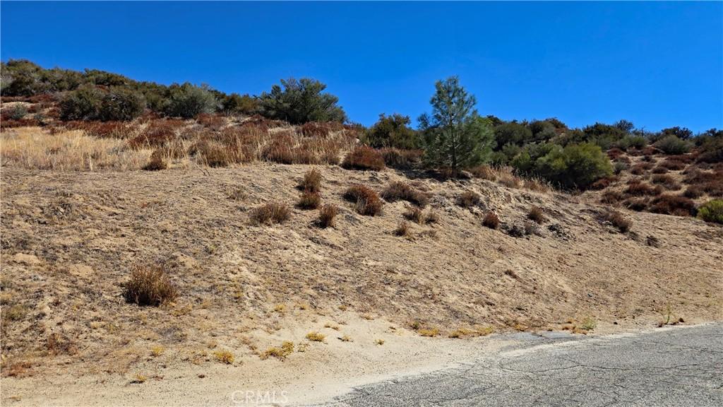 Sunnydale Dr vicinity Peekaboo Lot 166 Lake Elizabeth CA 93532 | MLS #SR26210021 45 MLS #SR26210021 image #0