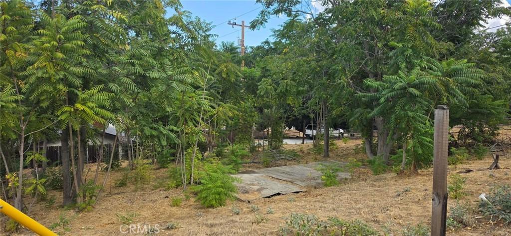 MLS #SR26210622 image #0