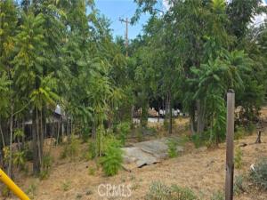 MLS #SR26210622 image #0