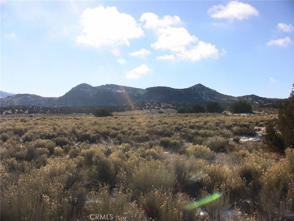 MLS #SR26211195 image #0