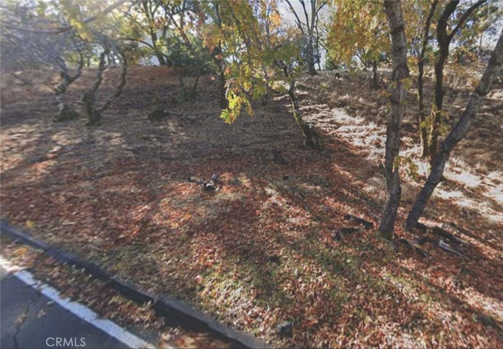 MLS #SR26211293 image #0