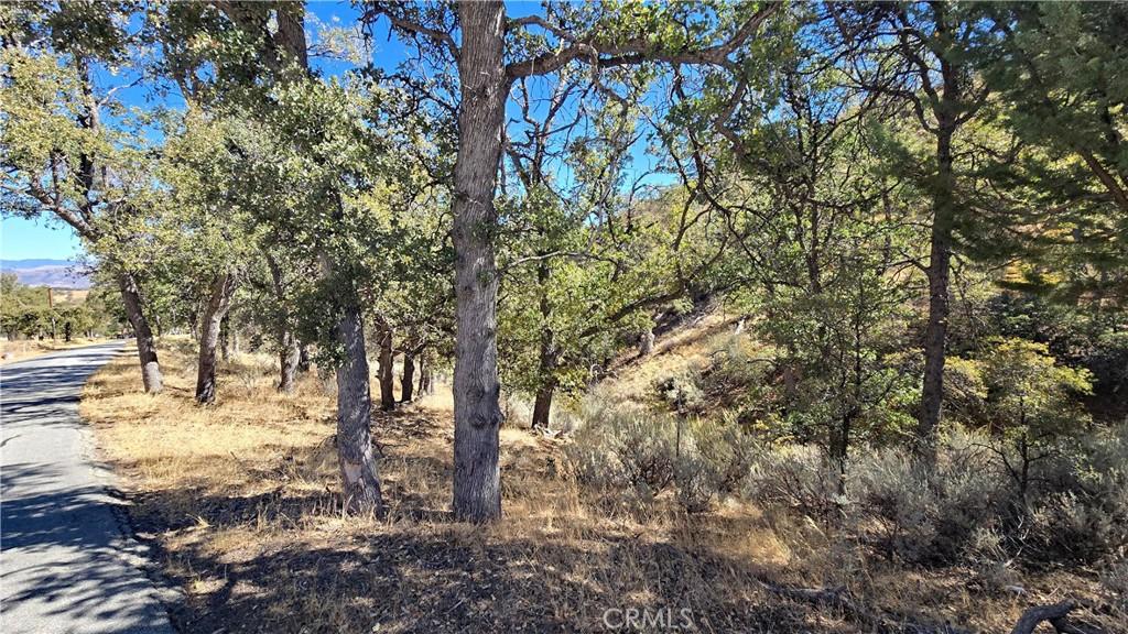 Saint Moritz Drive Lot 199 Tehachapi CA 93561 | MLS #SR26216346 37 MLS #SR26216346 image #0