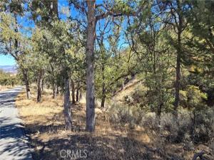 MLS #SR26216346 image #0