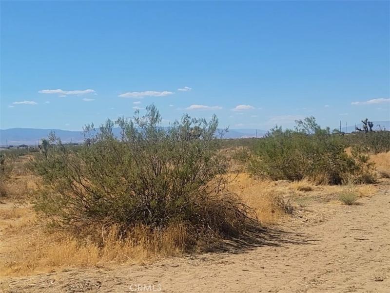 MLS #SR26217644 image #0