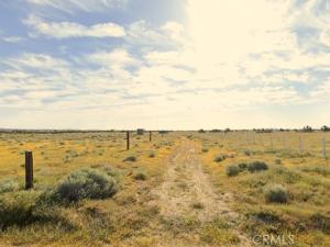 MLS #SR26223006 image #0