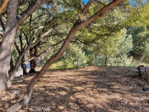 MLS #SR26224589 image #0