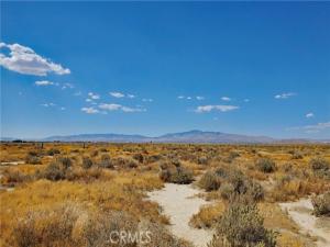 MLS #SR26229691 image #0