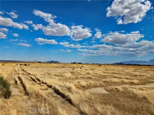 broker reciprocity