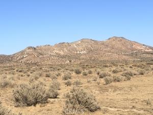 MLS #SR26231391 image #0